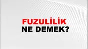 Fuzulilik