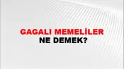 Gagalı Memeliler