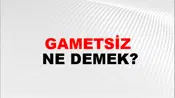 Gametsiz