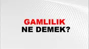 Gamlılık