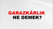 Garazkârlık