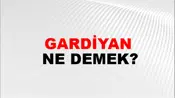 Gardiyan