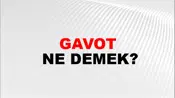 Gavot