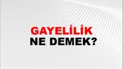 Gayelilik