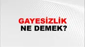 Gayesizlik