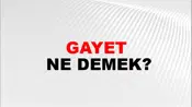Gayet
