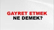 Gayret Etmek
