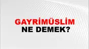 Gayrimüslim
