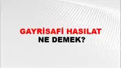 Gayrisafi Hasılat
