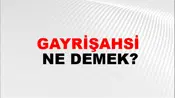 Gayrişahsi
