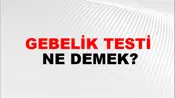 Gebelik Testi