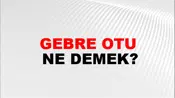 Gebre Otu