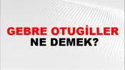 Gebre Otugiller