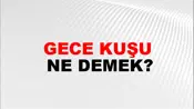 Gece Kuşu
