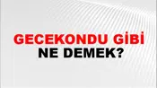 Gecekondu Gibi