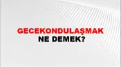 Gecekondulaşmak