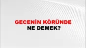 Gecenin Köründe