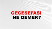 Gecesefası