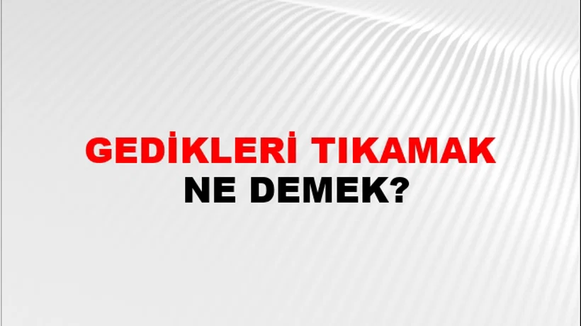 Gedikleri Tıkamak Gedikleri Tıkamak
