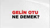 Gelin Otu