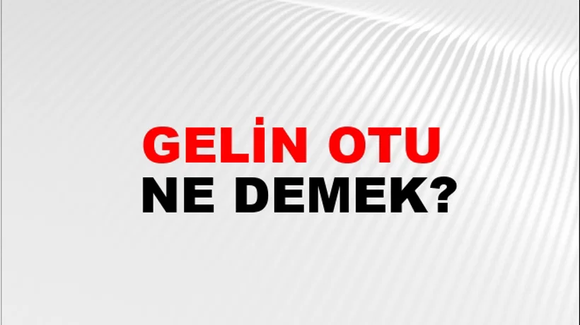 Gelin Otu Gelin Otu