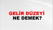 Gelir Düzeyi
