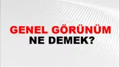 Genel Görünüm
