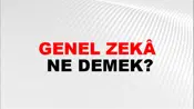 Genel Zekâ