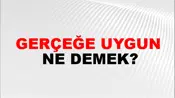 Gerçeğe Uygun
