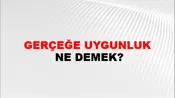 Gerçeğe Uygunluk
