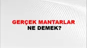 Gerçek Mantarlar