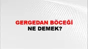 Gergedan Böceği