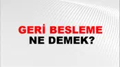Geri Besleme