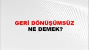 Geri Dönüşümsüz