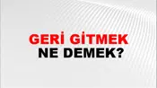 Geri Gitmek