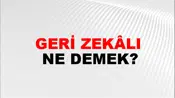 Geri Zekâlı