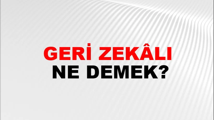 Geri Zekâlı Geri Zekâlı