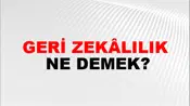 Geri Zekâlılık