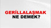Gerillalaşmak