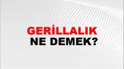 Gerillalık
