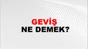 Geviş