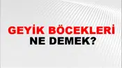 Geyik Böcekleri