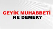 Geyik Muhabbeti