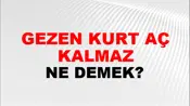 Gezen Kurt Aç Kalmaz
