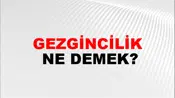 Gezgincilik