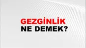 Gezginlik