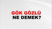 Gök Gözlü