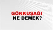 Gökkuşağı