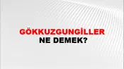 Gökkuzgungiller