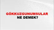 Gökkuzgunumsular